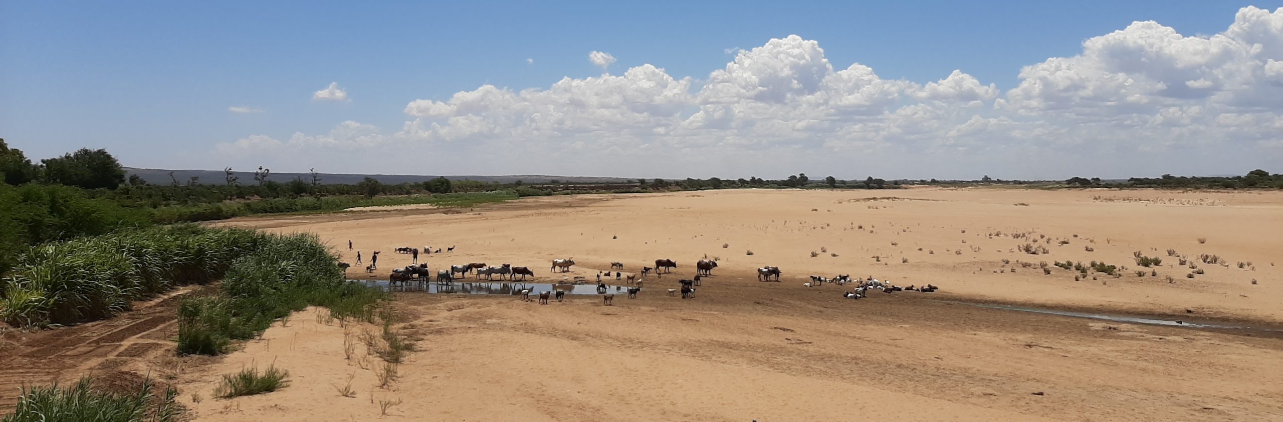 Travaux de forage et captage des eaux souterraines – réponse sécheresse Sud de Madagascar